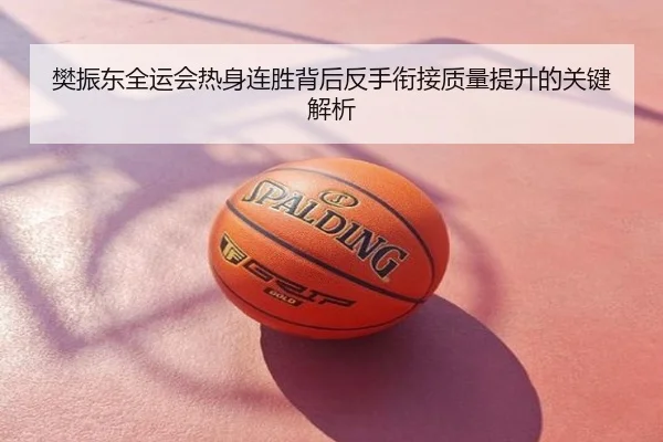 樊振东全运会热身连胜背后反手衔接质量提升的关键解析